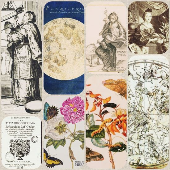 97488309_582734272368448_1359879030660136960_o